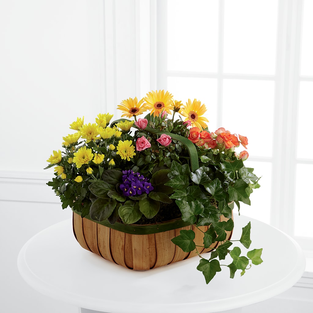 Gentle Blossoms Basket – Tda Balloons, Taylors SC