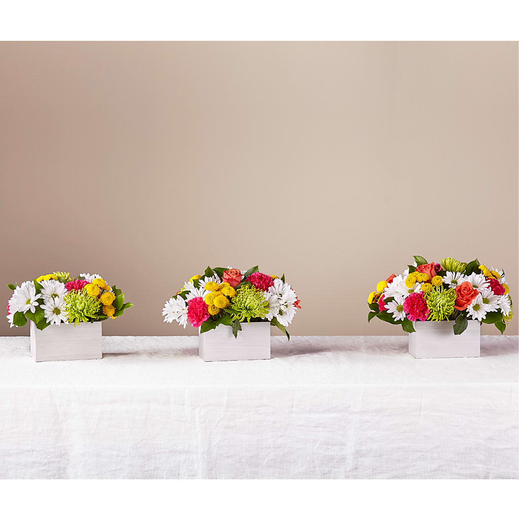 Sorbet Bouquet – Tda Balloons, Taylors SC