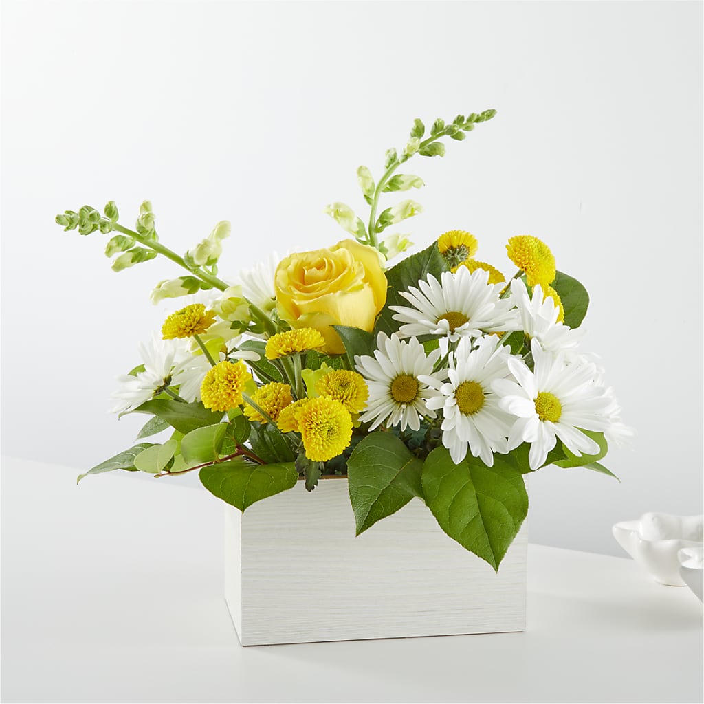 Sun Salutation Box Bouquet – Tda Balloons, Taylors SC