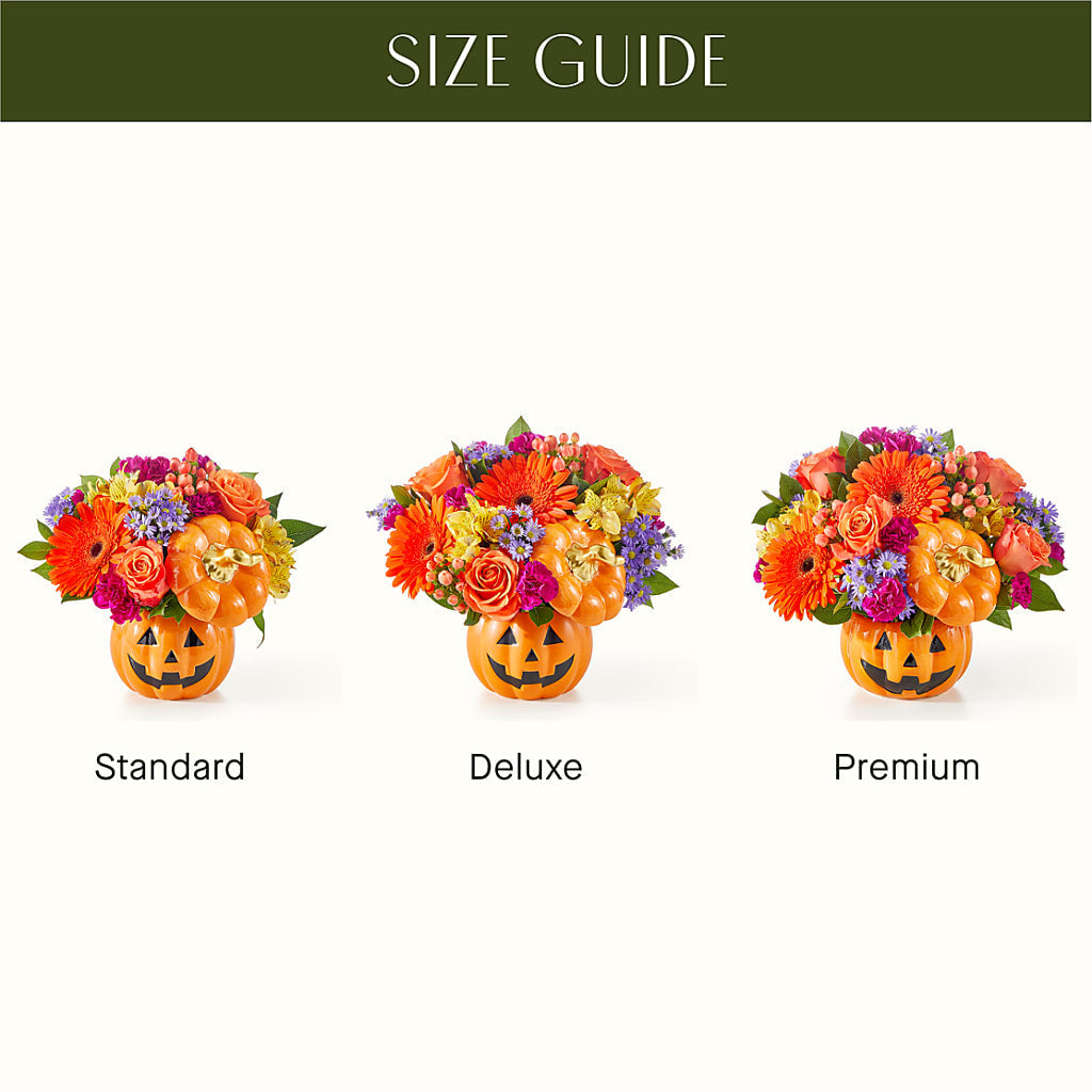 Tricks & Treats Pumpkin – Tda Balloons, Taylors SC