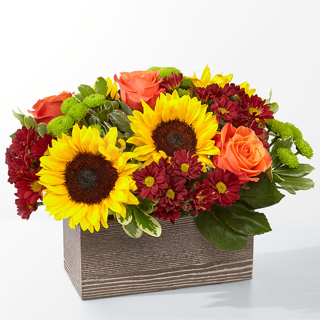 Happy Harvest Garden – Tda Balloons, Taylors SC