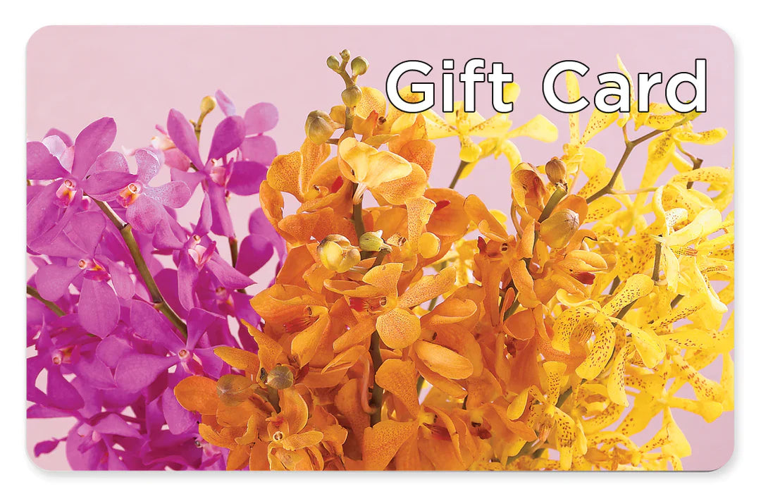 Gift Card – Tda Balloons, Taylors SC