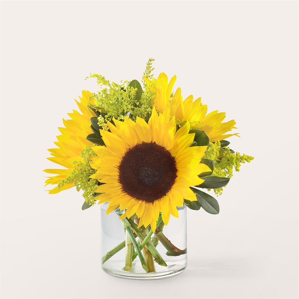 Beaming Sunflower Bouquet – Tda Balloons, Taylors SC