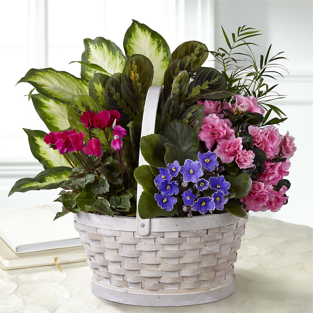Peaceful Garden Planter – Tda Balloons, Taylors SC