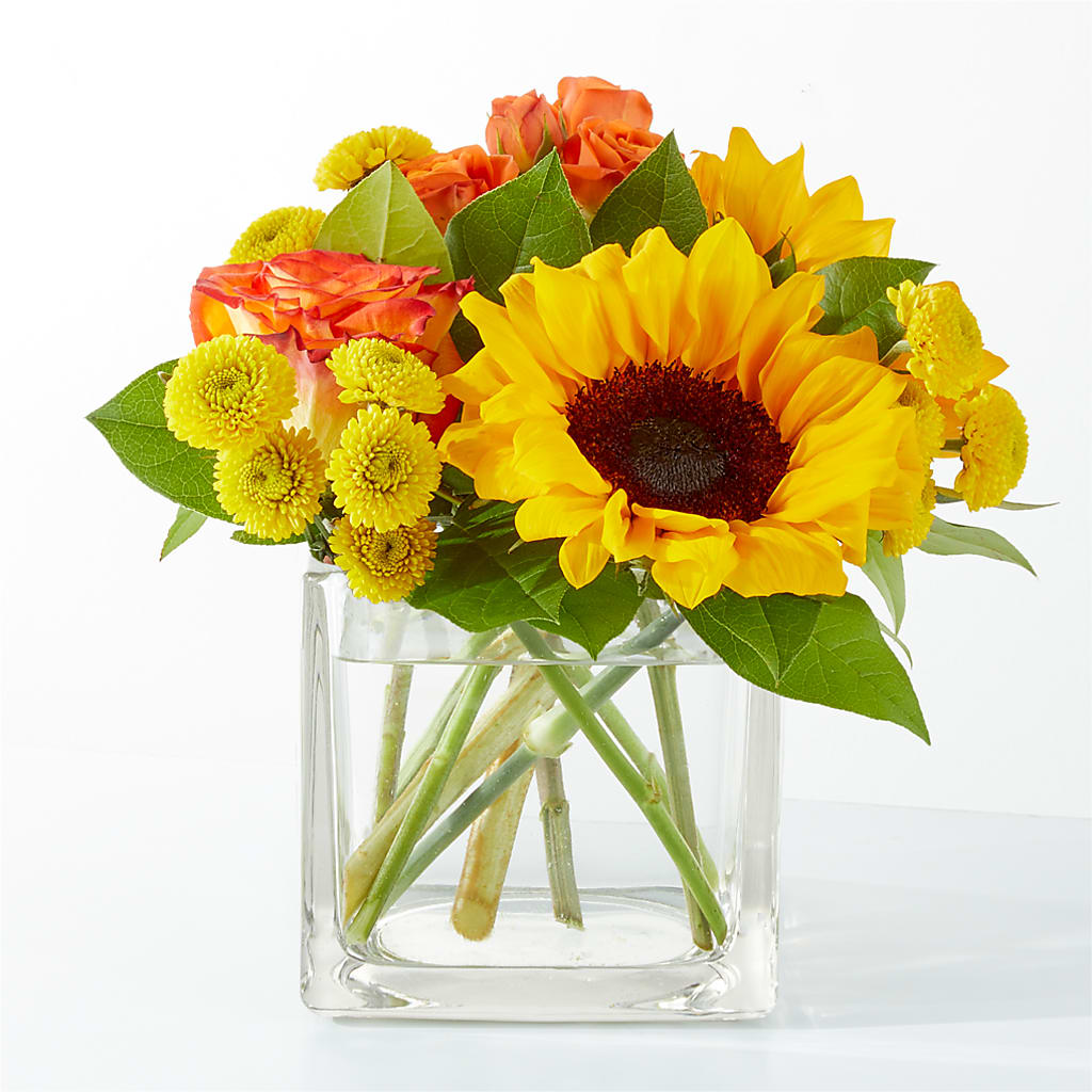 Picnic in the Park Bouquet – Tda Balloons, Taylors SC