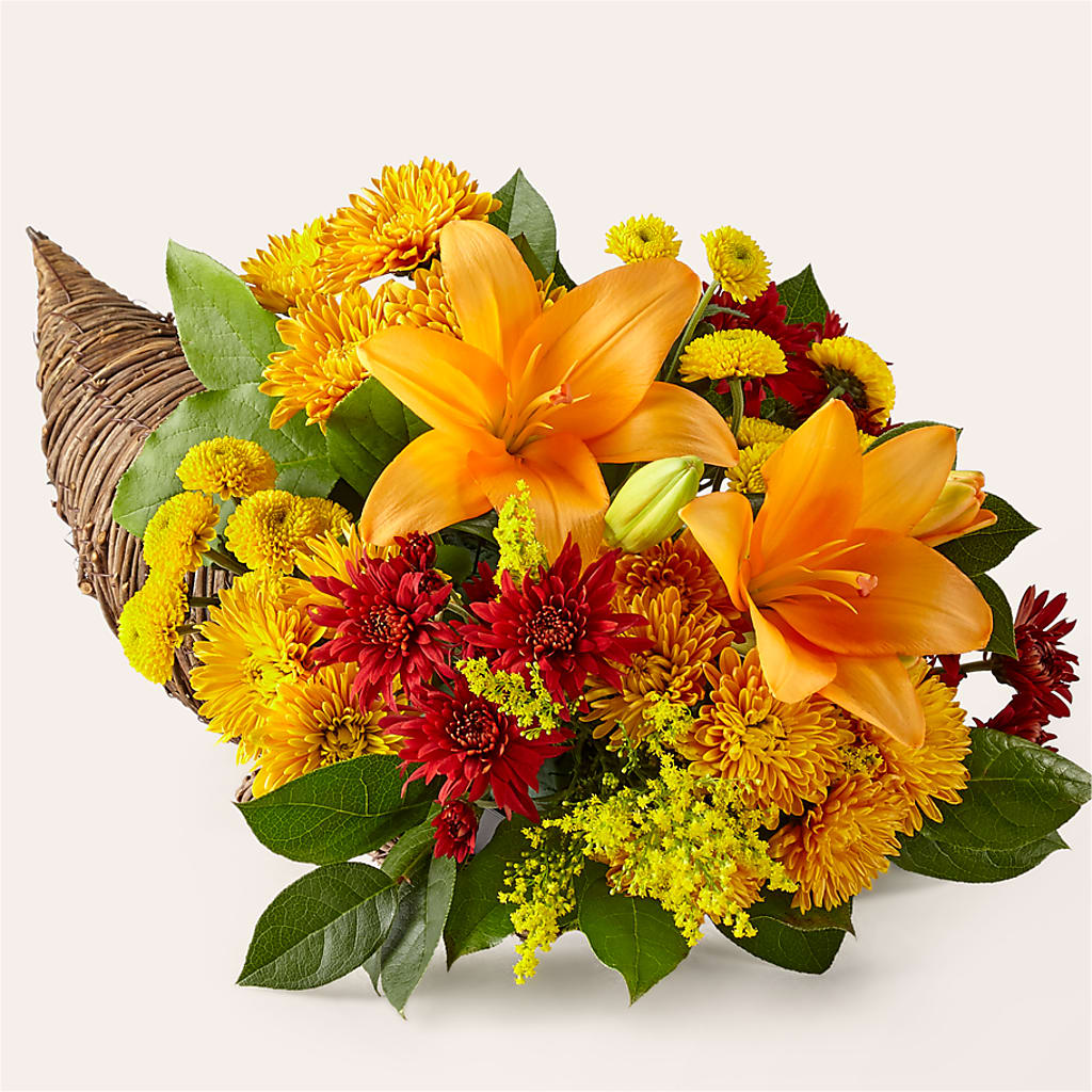 Feast of Color Cornucopia – Tda Balloons, Taylors SC