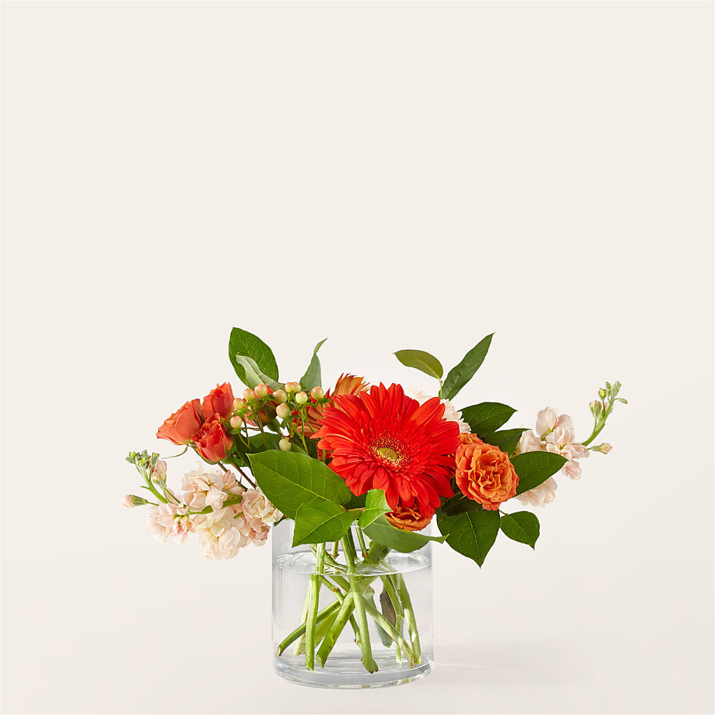 Paloma Please Bouquet – Tda Balloons, Taylors SC