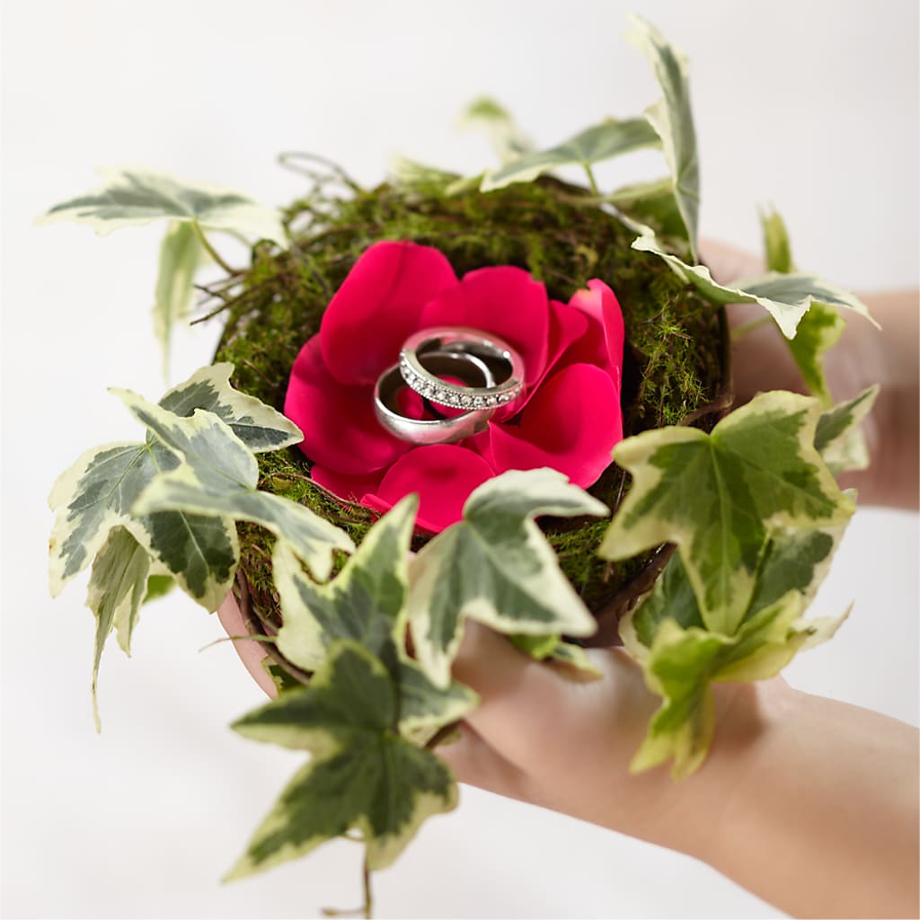 Lila Rose Ring Nest – Tda Balloons, Taylors SC