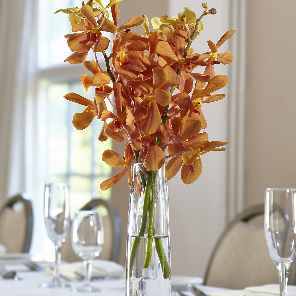 Orange Mokara Bud Vase – Tda Balloons, Taylors SC