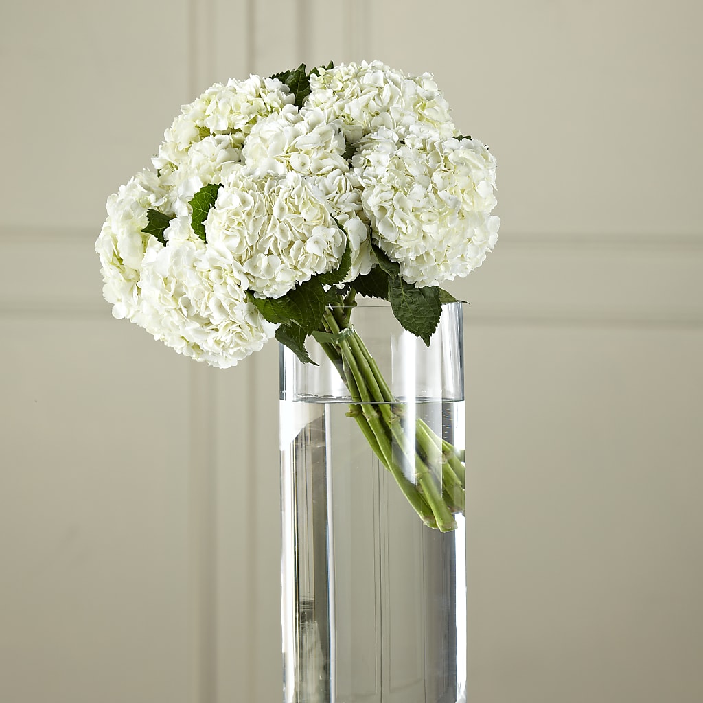 White Hydrangea Hand-Tied Bouquet – Tda Balloons, Taylors SC