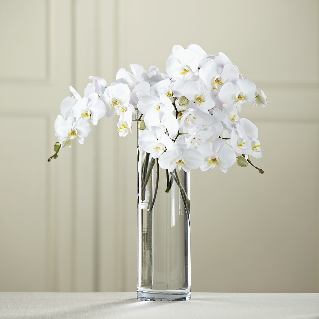 White Phalaenopsis Bouquet – Tda Balloons, Taylors SC