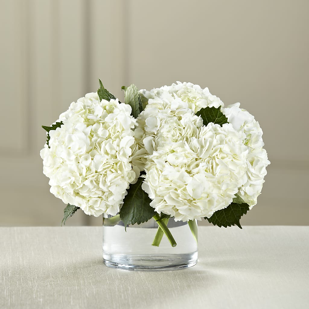 White Hydrangea Bouquet – Tda Balloons, Taylors SC