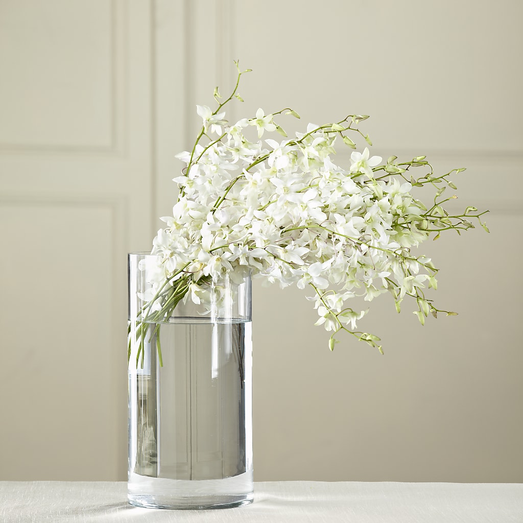 White Dendrobium Bouquet – Tda Balloons, Taylors SC