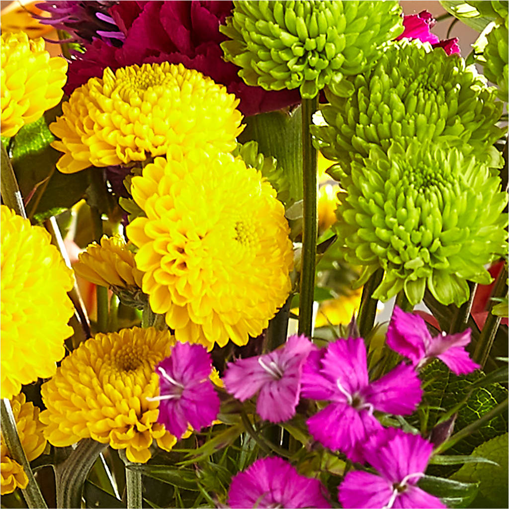 Bold & Bright – A Florist Original –  Tda Balloons, Taylors SC