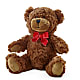 Adorable Plush Bear –  Tda Balloons, Taylors SC