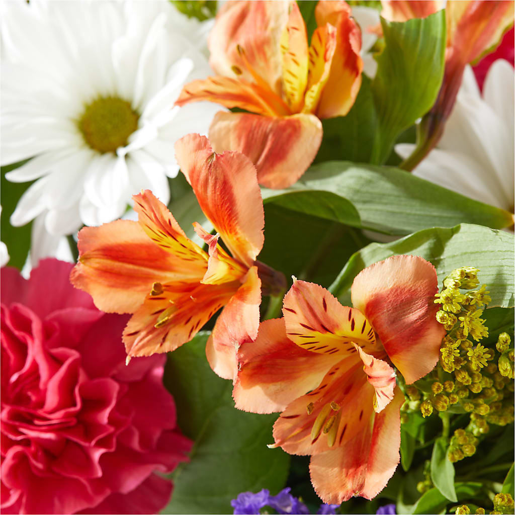 Oopsie Daisy Box Bouquet –  Tda Balloons, Taylors SC