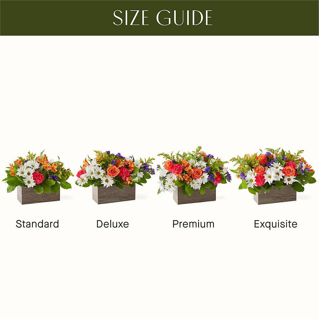 Oopsie Daisy Box Bouquet –  Tda Balloons, Taylors SC