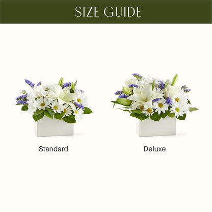 Beyond Blue Box Bouquet –  Tda Balloons, Taylors SC