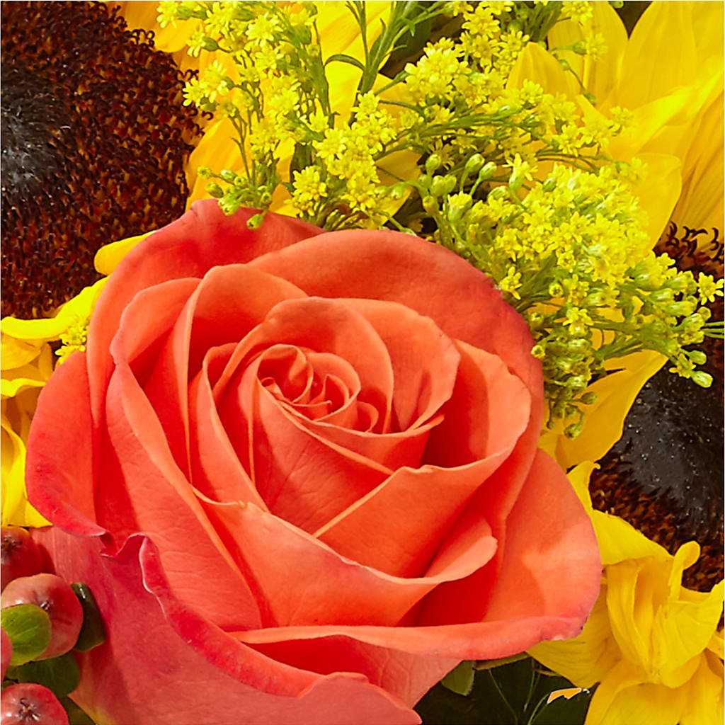 Pick of the Patch Pumpkin Bouquet –  Tda Balloons, Taylors SC