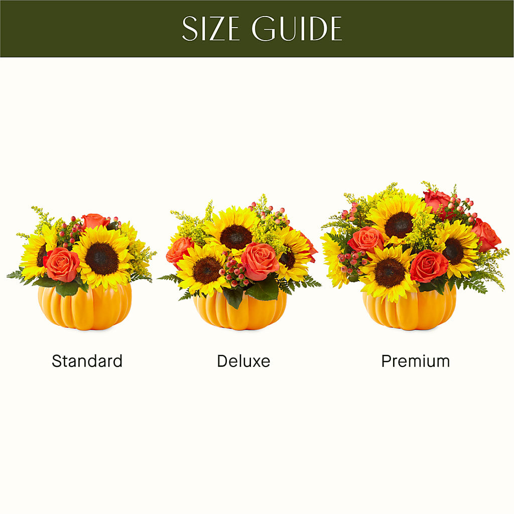 Pick of the Patch Pumpkin Bouquet –  Tda Balloons, Taylors SC