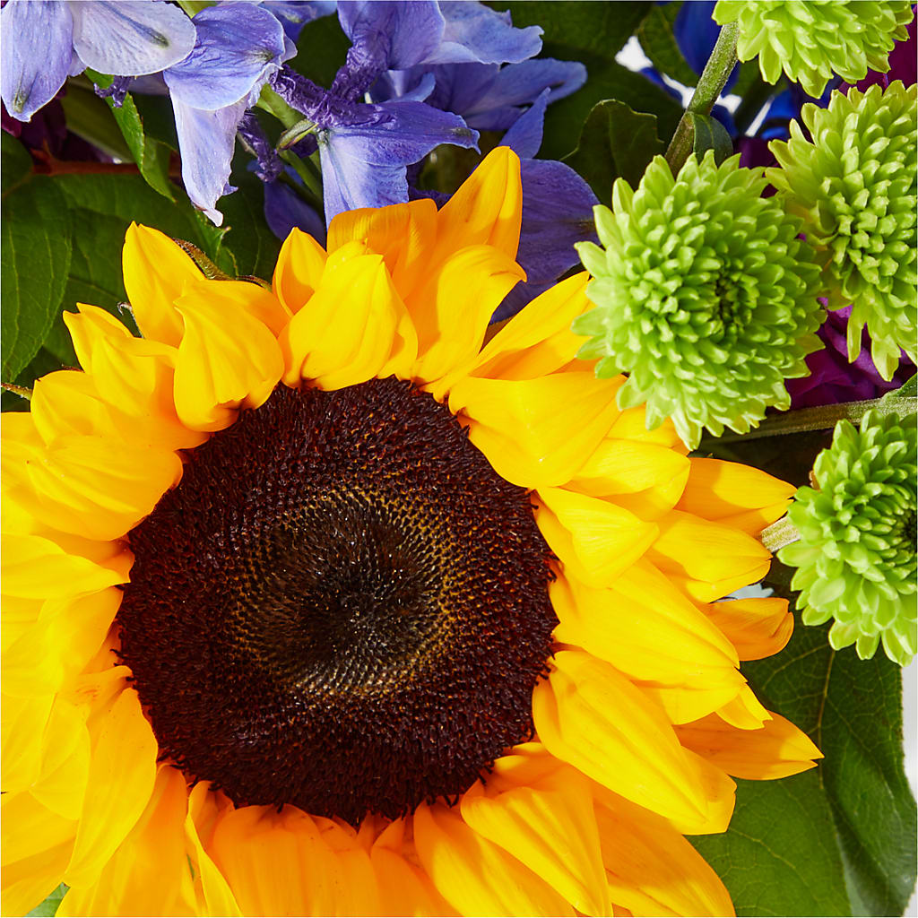 Catching Rays Bouquet –  Tda Balloons, Taylors SC