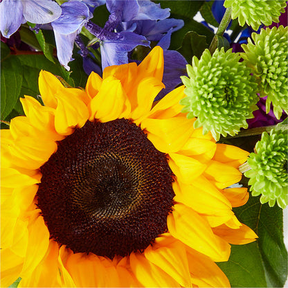 Catching Rays Bouquet –  Tda Balloons, Taylors SC
