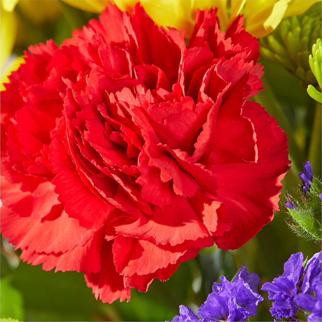 Brighter Days Bouquet –  Tda Balloons, Taylors SC