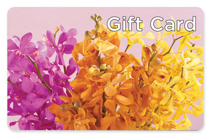 Gift Card –  Tda Balloons, Taylors SC