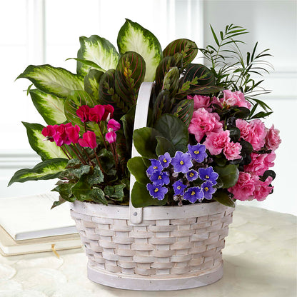 Peaceful Garden Planter –  Tda Balloons, Taylors SC