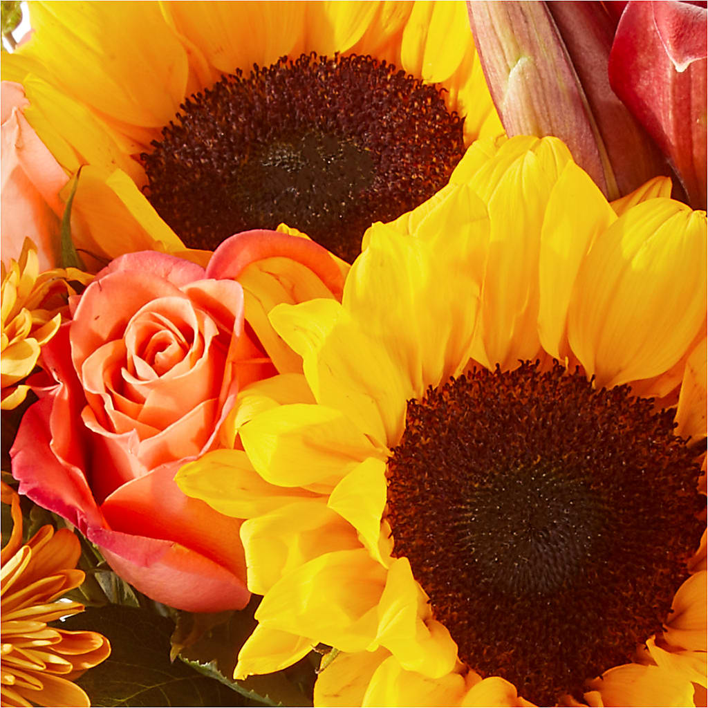 Acorn Lane Bouquet –  Tda Balloons, Taylors SC
