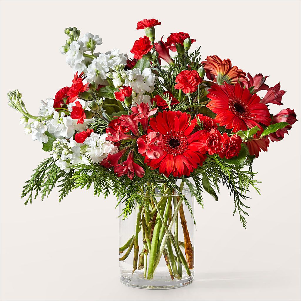 Bouquet Holidaisy