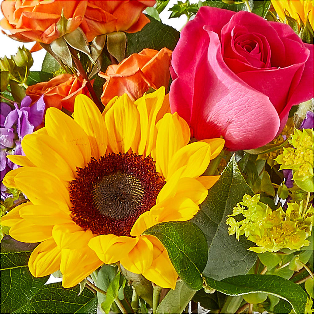 Vibrant Greetings Bouquet –  Tda Balloons, Taylors SC