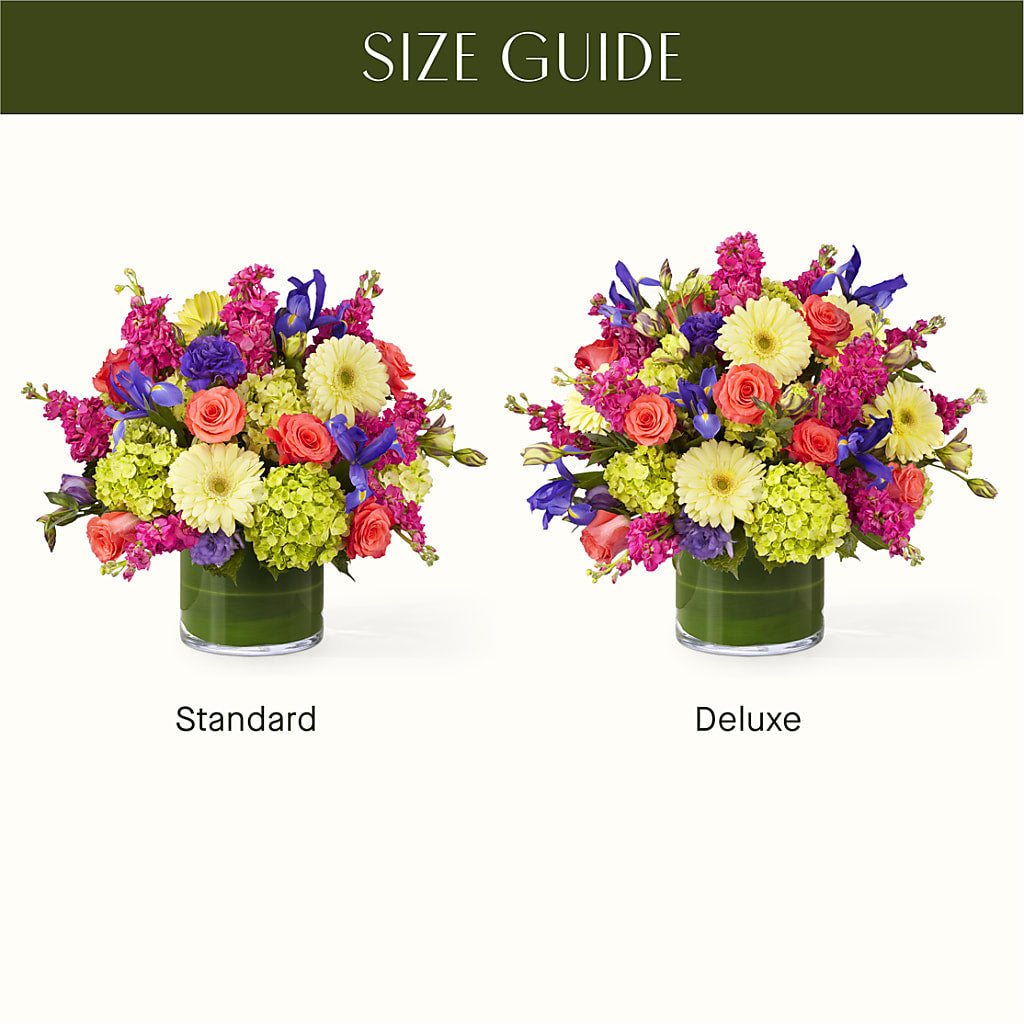The Couture –  Tda Balloons, Taylors SC