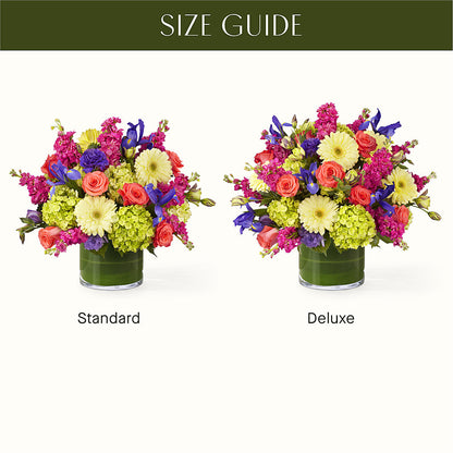 The Couture –  Tda Balloons, Taylors SC