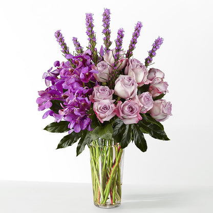 The Maximalist –  Tda Balloons, Taylors SC