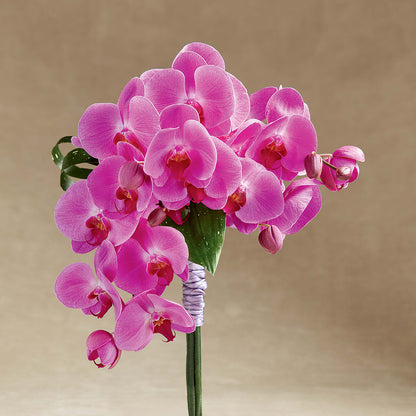 Glorious Bouquet –  Tda Balloons, Taylors SC