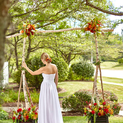 Arbor of Love Archway –  Tda Balloons, Taylors SC