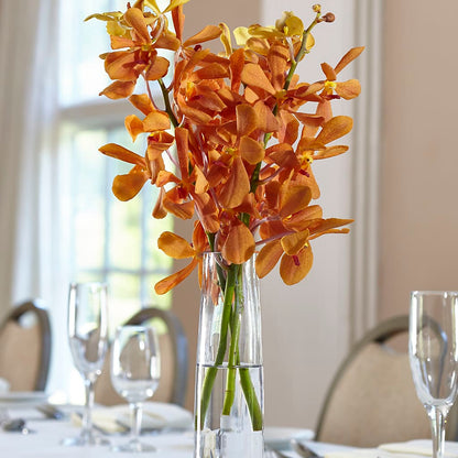 Orange Mokara Bud Vase –  Tda Balloons, Taylors SC