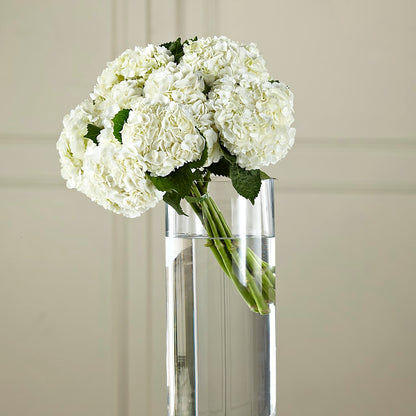 White Hydrangea Hand-Tied Bouquet –  Tda Balloons, Taylors SC