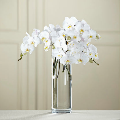 White Phalaenopsis Bouquet –  Tda Balloons, Taylors SC