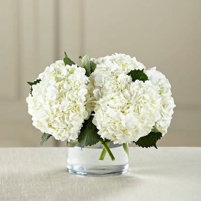 White Hydrangea Bouquet –  Tda Balloons, Taylors SC